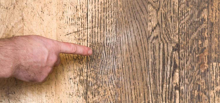 Wood Door Scratch Repair in Orinda